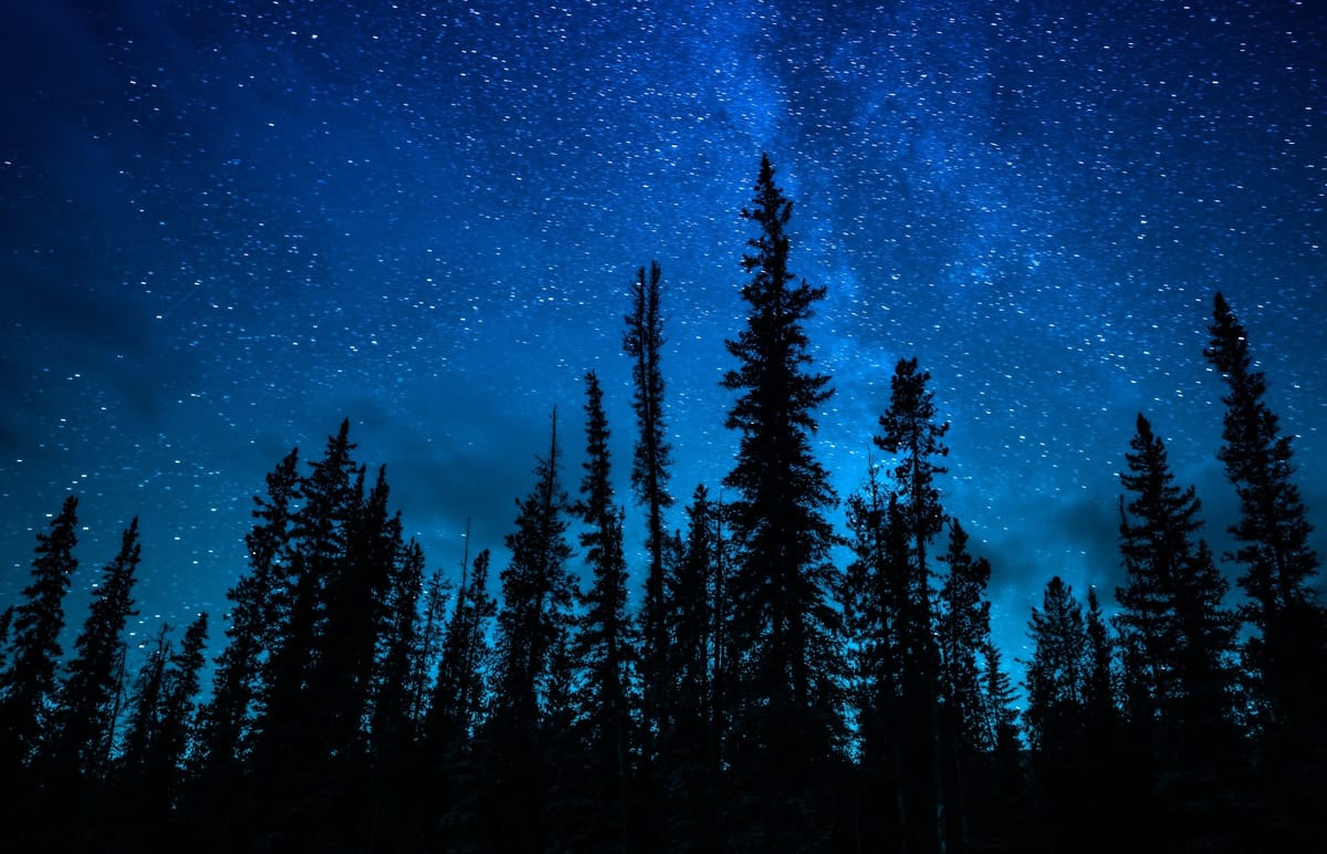 The Inspector Gamache Series by Louise Penny