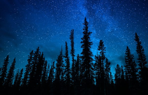 The Inspector Gamache Series by Louise Penny